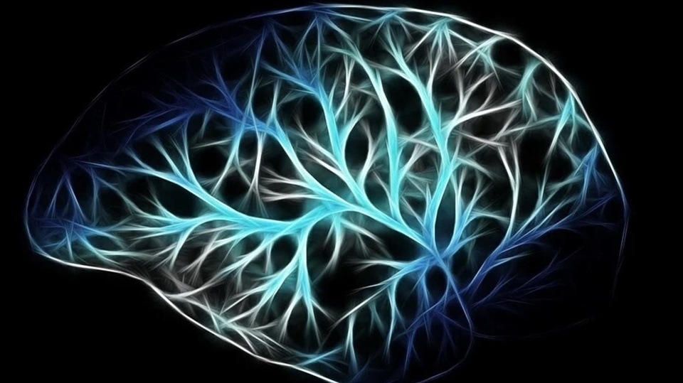 Neuropathy: మెదడు, వెన్నుపాము పరిధి వెలుపల ఉన్న నరాలలో ఏవైనా సమస్యలు తలెత్తినప్పుడు న్యూరోపతి అనే డిజార్డర్ సంభవిస్తుంది. ఇది ఉన్నప్పుడు అంతా అస్తవ్యస్తంగా అనిపిస్తుంది. నివారించాలంటే న్యూరాలజిస్ట్ సహాయం అవసరం.