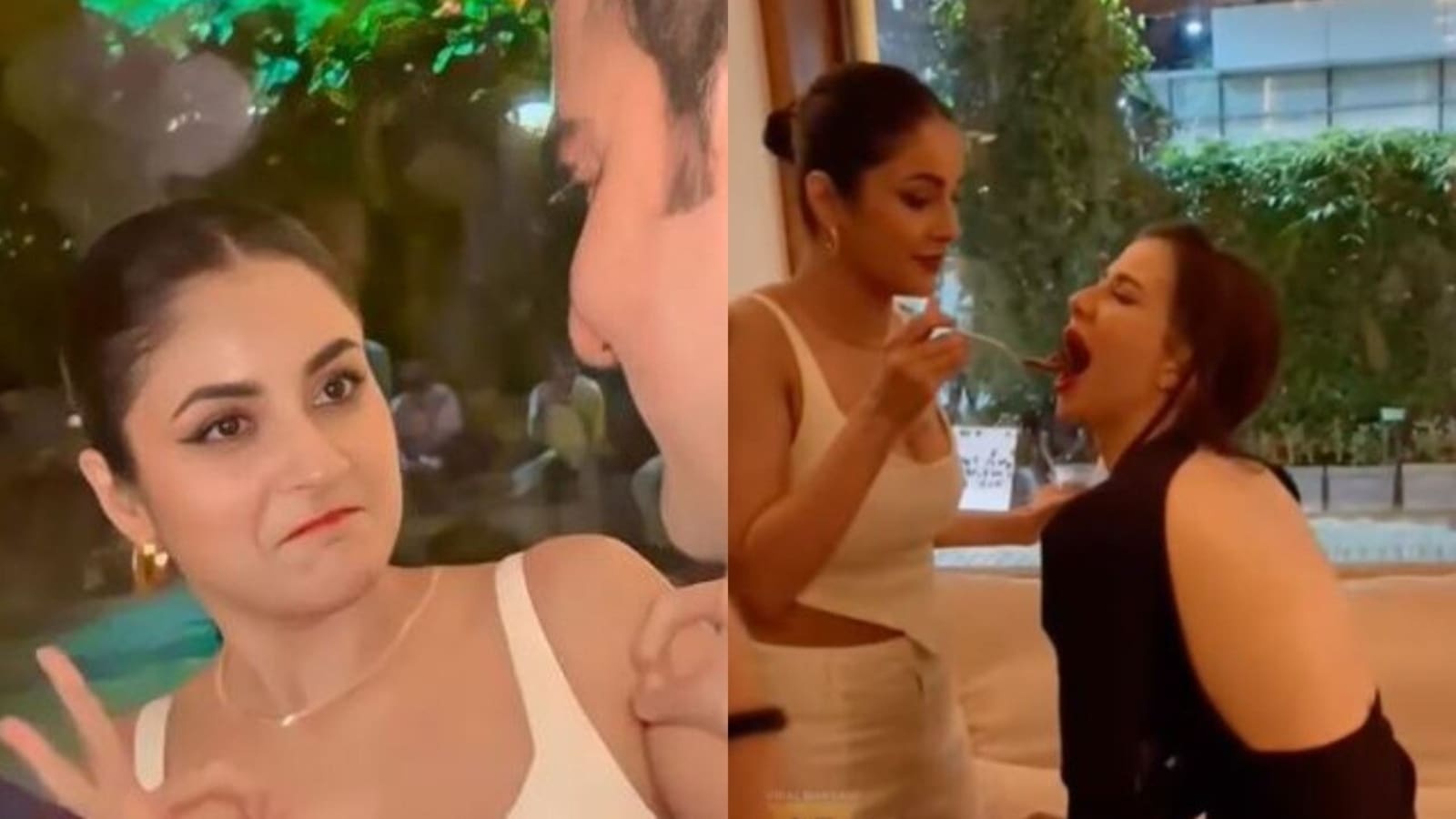 Shehnaaz Gill feeds cake to Giorgia Andriani at her birthday party, chats with Arbaaz Khan. Watch