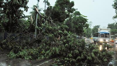 Three other people were killed in separate incidents during the squall in the districts. While one was killed after being hit by lightning, two others were killed when trees got uprooted and fell on them. (PTI PHOTO.)