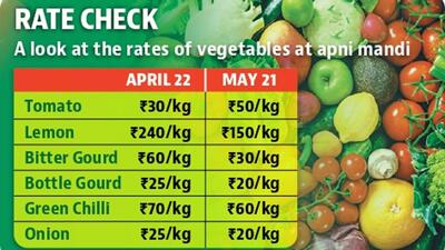 The dry weather conditions have proved beneficial to other vegetables and brought down the rates. Bitter gourd and bottle gourd -- both grow well in dry conditions – have seen a price dip of ₹10 in Chandigarh. (HT Photo) The dry weather conditions have proved beneficial to other vegetables and brought down the rates. Bitter gourd and bottle gourd -- both grow well in dry conditions – have seen a price dip of ₹10 in Chandigarh. (HT Photo)
