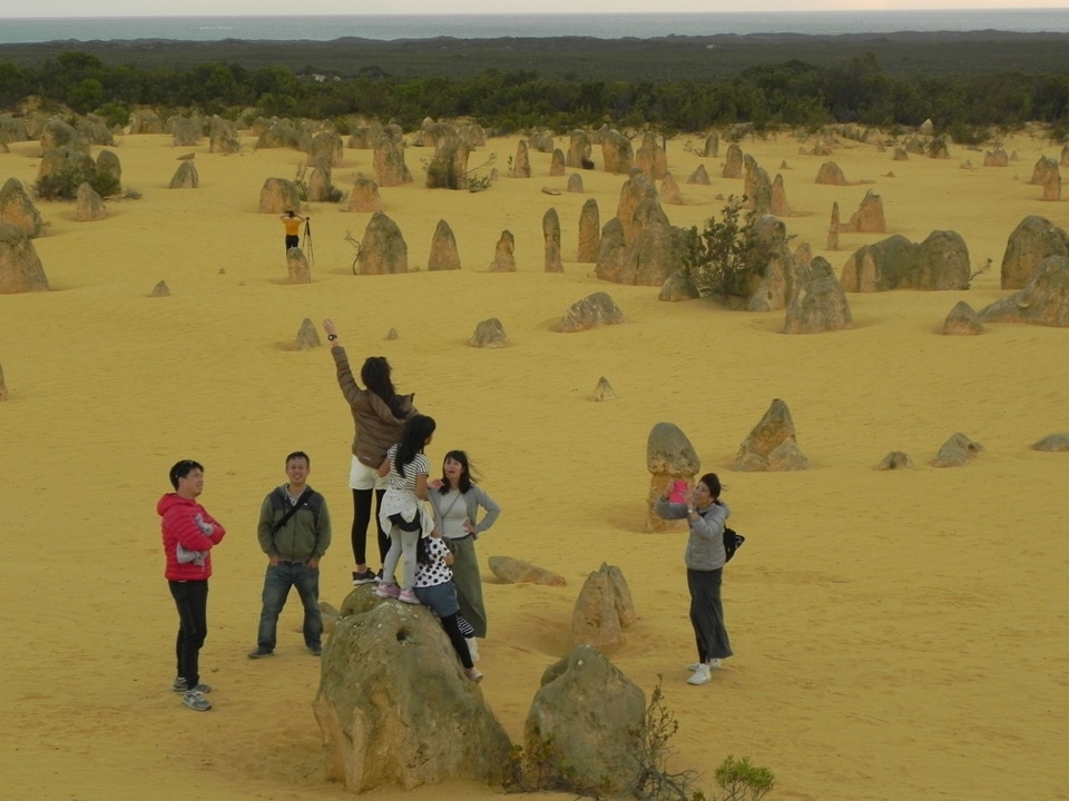 Pinnacles Desert(Sandip Hor)