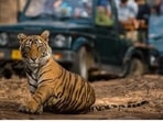 or lasting change, Indian cities need regulation, shifts in education and transformations in planning and running cities. or lasting change, Indian cities need regulation, shifts in education and transformations in planning and running cities.