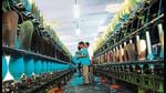 The Punjab government plans to acquire another 250 acres of land and undertake a demand survey for the proposed mega textile park in Ludhiana under the PM-MITRA scheme. The Punjab government plans to acquire another 250 acres of land and undertake a demand survey for the proposed mega textile park in Ludhiana under the PM-MITRA scheme.