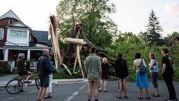 Membros da comunidade se reúnem para observar uma árvore que foi destruída durante uma grande tempestade em Ottawa, Canadá, no sábado.
