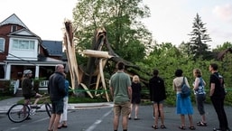Membros da comunidade se reúnem para olhar uma árvore que foi destruída durante uma grande tempestade em Ottawa, Canadá.