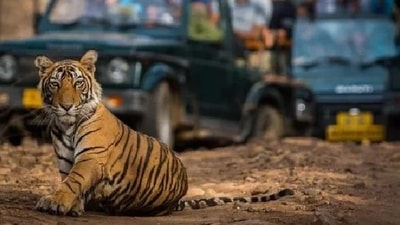 or lasting change, Indian cities need regulation, shifts in education and transformations in planning and running cities. or lasting change, Indian cities need regulation, shifts in education and transformations in planning and running cities.