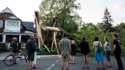 Community members gather to look at a tree that was destroyed during a major storm in Ottawa, Canada. (AP) Community members gather to look at a tree that was destroyed during a major storm in Ottawa, Canada. (AP)