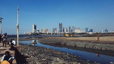 MUMBAI, India - June 17, 2020: Marine experts have raised an alarm about the ongoing reclamation activity along the south Mumbai coastline for the coastal road project. Less than 400 metres from the work site near Haji Ali dargah is a 10-metre patch of false pillow corals. Reclamation work being carried out for the 9.9-km phase of th coastal road project, at Haji Ali. (Photo Courtesy : Shaunak Modi) MUMBAI, India - June 17, 2020: Marine experts have raised an alarm about the ongoing reclamation activity along the south Mumbai coastline for the coastal road project. Less than 400 metres from the work site near Haji Ali dargah is a 10-metre patch of false pillow corals. Reclamation work being carried out for the 9.9-km phase of th coastal road project, at Haji Ali. (Photo Courtesy : Shaunak Modi)