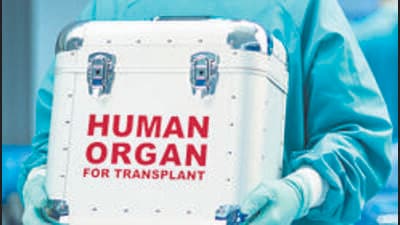 A majority of kidney and liver donations are through live donors whereas heart, lung and pancreas donations take place through brain dead donors. (REPRESENTATIVE PHOTO) A majority of kidney and liver donations are through live donors whereas heart, lung and pancreas donations take place through brain dead donors. (REPRESENTATIVE PHOTO)