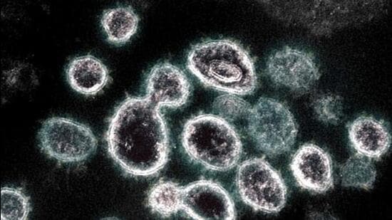 Chandigarh tricity area reported 23 fresh Covid infections. (AFP)