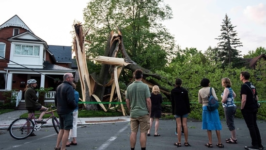 Community members gather to look at a tree that was destroyed during a major storm in Ottawa, Canada, Saturday.(AP)