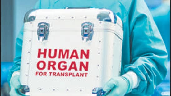 A majority of kidney and liver donations are through live donors whereas heart, lung and pancreas donations take place through brain dead donors. (REPRESENTATIVE PHOTO)
