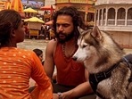 The Noida-based man was booked for allegedly hurting religious sentiments on the complaint of the temple committee.(Instagram/huskyindia0) The Noida-based man was booked for allegedly hurting religious sentiments on the complaint of the temple committee.(Instagram/huskyindia0)