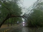 India Meteorological Department (IMD) predicted that Delhi may see thunderstorms with moderate intensity rain and gusty winds with speed of 60-90 Kmph.(ANI)