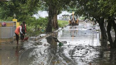 According to data, over 7,000 hectares of agriculture crops and 5,736 hectares of horticulture crops were damaged due to the rains in Karnataka. (PTI) According to data, over 7,000 hectares of agriculture crops and 5,736 hectares of horticulture crops were damaged due to the rains in Karnataka. (PTI)