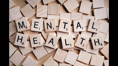 Experts from PGIMER and Schizophrenia Awareness Association discusses the mental disorder at an interactive webinar. (HT FIle)