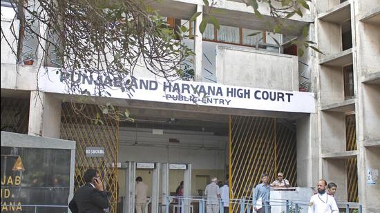 The Punjab and Haryana high court was hearing a plea from a Sirsa man booked in January 2019. (Archive) The Punjab and Haryana high court was hearing a plea from a Sirsa man booked in January 2019. (Archive)
