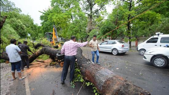 A tree uprooted by storm in the Sadar area of Lucknow on Monday. (DEEPAK GUPTA)