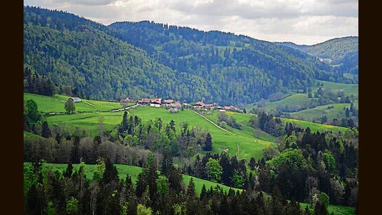 Vice-chancellor of Chaudhary Sarwan Kumar Himachal Pradesh Agriculture University (HPAU) Prof HK Chaudhary said hydroponics, the technique to grow plants in nutrient-rich water, was suitable for hills. (AFP File Photo/ Representational image)