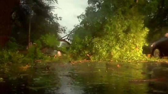 Officials expect traffic disruption in Delhi-NCR; several key roads have already been blocked by uprooted trees. The traffic disruption is expected to be accompanied by reduced visibility, the officials tweeted.(ANI)