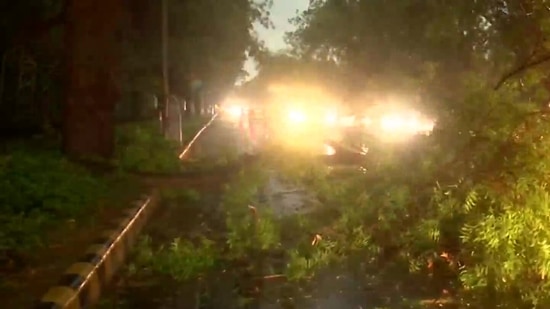Strong winds and heavy rain uprooted trees in parts of Delhi which resulted in roads getting blocked.(ANI)