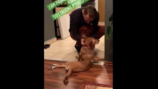 The rescue doggo with its human in the Instagram video.(Instagram/@tailoftwospecies)