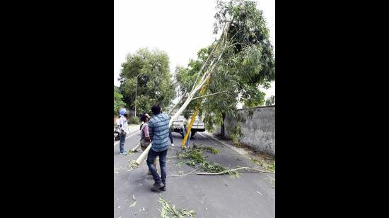With the high-velocity winds uprooting trees and branches power cuts, extending up to 12 hours were, witnessed in Model Town, BRS Nagar, Anand Nagar, Dugri, Giaspura, Sarabha Nagar, Civil Lines, Jalandhar Bypass, Industrial Area, Basant Avenue, Dholewal, Chandigarh Road, and Gill Road among other areas. (Gurpreet Singh/HT) With the high-velocity winds uprooting trees and branches power cuts, extending up to 12 hours were, witnessed in Model Town, BRS Nagar, Anand Nagar, Dugri, Giaspura, Sarabha Nagar, Civil Lines, Jalandhar Bypass, Industrial Area, Basant Avenue, Dholewal, Chandigarh Road, and Gill Road among other areas. (Gurpreet Singh/HT)
