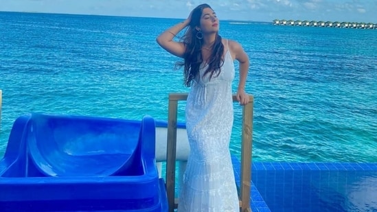 Coming to the design details, Disha's sleeveless maxi dress features spaghetti straps. It also has a plunging V neckline and back, a relaxed fit and flared silhouette hugging the star's curves, a mesh fabric, intricate applique details, floral embroidery, floor-length hem and a tiered skirt.(Instagram)