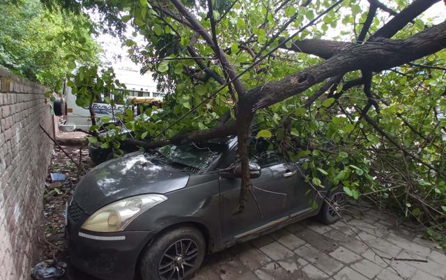 An uprooted tree damaged a car near Modern Housing Complex in Manimajra, Chandigarh, following the gusty winds. (Sant Arora/HT) An uprooted tree damaged a car near Modern Housing Complex in Manimajra, Chandigarh, following the gusty winds. (Sant Arora/HT)