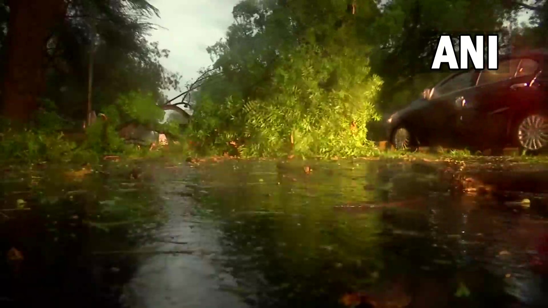 Amid strong winds and rain, uprooted trees block roads in parts of Delhi. Visuals from Dhaula Kuan shared by ANI. Amid strong winds and rain, uprooted trees block roads in parts of Delhi. Visuals from Dhaula Kuan shared by ANI.