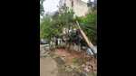 An electricity pole in Sushant Lok Phase 1 was damaged in the heavy rain on Monday. (Sourced) An electricity pole in Sushant Lok Phase 1 was damaged in the heavy rain on Monday. (Sourced)