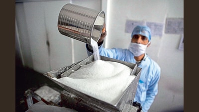 As compared to last year more sugarcane was diverted for ethanol production, as per data provided by the Indian Sugar Mills Association (ISMA) (FILE PHOTO) As compared to last year more sugarcane was diverted for ethanol production, as per data provided by the Indian Sugar Mills Association (ISMA) (FILE PHOTO)
