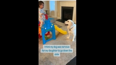 The dog keeps an eye on the toddler as she comes down a slide.&nbsp; (tacothepolarpup/Instagram)