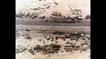 Aerial view of destroyed Iraqi vehicles beside Highway 80 west of Kuwait City. The ‘Highway of Death ‘ was bombed by coalition forces led by the United States on February 27-28, 1991. (Shutterstock) Aerial view of destroyed Iraqi vehicles beside Highway 80 west of Kuwait City. The ‘Highway of Death ‘ was bombed by coalition forces led by the United States on February 27-28, 1991. (Shutterstock)