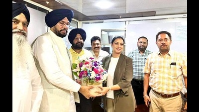 Punjab minister pushes for IT skill centers in villages to stop brain drain (HT)