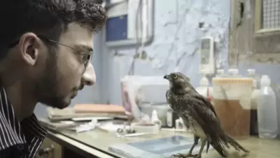 A still from Shaunak Sen's All That Breathes. A still from Shaunak Sen's All That Breathes.