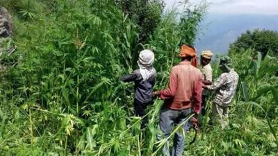 A case has been registered against the unidentified accused on the basis of video and a hunt for him has been launched. (Image for representational purpose only)