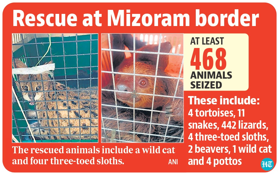 400 caged exotic animals recovered, smugglers held | Latest News India - Hindustan Times 400 caged exotic animals recovered, smugglers held | Latest News India - Hindustan Times