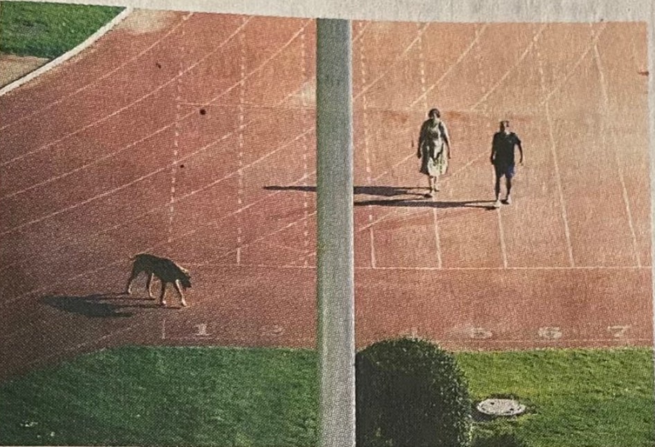 Following news reports and social media outrage over the IAS couple’s dog walking routine, Sanjeev Khirwar and Rinku Dugga were transferred to Ladakh and Arunachal Pradesh, respectively.&nbsp; (Indian Express)