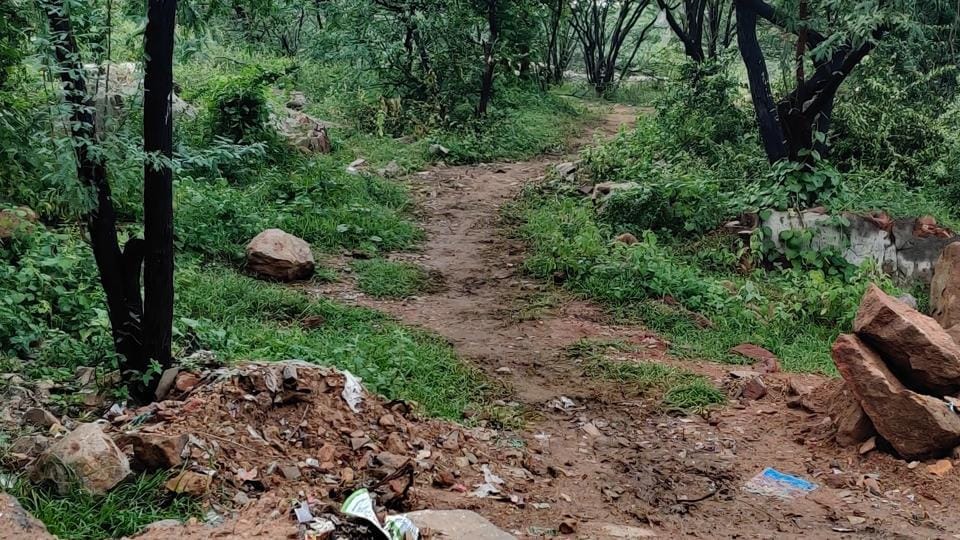 Officials of the Delhi forest department said they hope to inaugurate the redeveloped area during Wildlife Week (October 2-8). (Sourced) Officials of the Delhi forest department said they hope to inaugurate the redeveloped area during Wildlife Week (October 2-8). (Sourced)