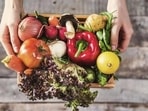 Even though there are multiple Government programmes for fighting malnutrition, we as a nation need to move closer to the nutrition goals(Getty Images) Even though there are multiple Government programmes for fighting malnutrition, we as a nation need to move closer to the nutrition goals(Getty Images)