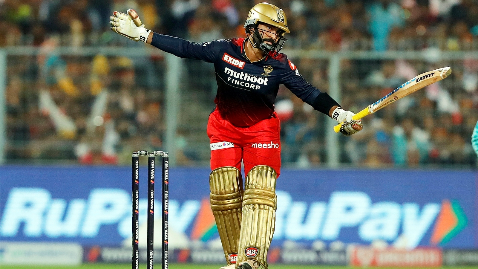 Dinesh Karthik Wallpapers - Wallpaper Cave