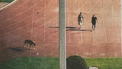 The viral photo of the IAS couple and their dog. (Courtesy: Indian Express)
