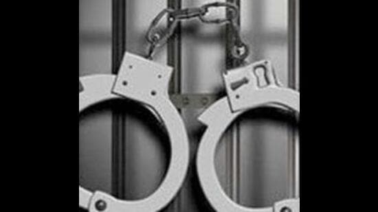 A countrymade pistol and three live cartridges were recovered from the gang of robbers arrested in Ludhiana. (Representative image)