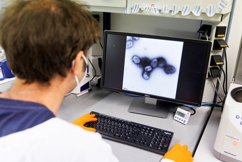 An employee of the vaccine company Bavarian Nordic shows a picture of a vaccine virus on a display in a laboratory of the company in Martinsried near Munich, Germany (REUTERS)
