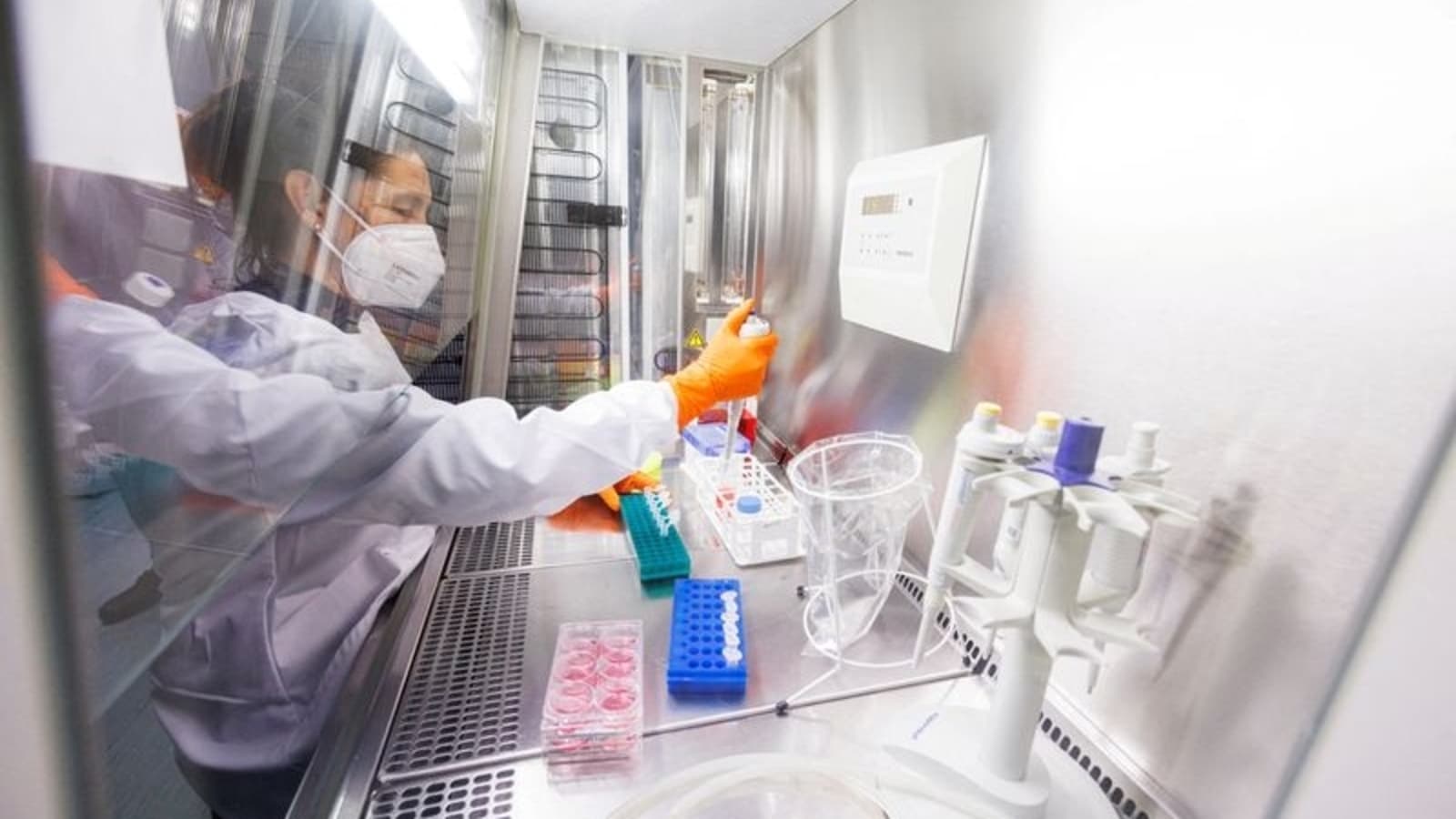 Monkeypox: Perusahaan India mengembangkan kit RT-PCR untuk pengujian virus |  berita terbaru india