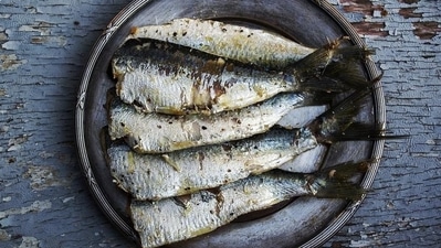 Omega-3, Vitamin C, Iron, Vitamin D & B12: These Vitamins are the most ignored in modern times but plays a key role in our body’s functioning throughout the year. There is a rise of mental health related illnesses, easily catching flu or infections, deficiency of Vitamin D, B12 and iron being noted, which is because of less intake of all these essential nutrients. Hence, we must consume foods rich in these nutrients or sit more in sun for Vitamin D or supplement them after consulting a doctor. (Pixabay) Omega-3, Vitamin C, Iron, Vitamin D & B12: These Vitamins are the most ignored in modern times but plays a key role in our body’s functioning throughout the year. There is a rise of mental health related illnesses, easily catching flu or infections, deficiency of Vitamin D, B12 and iron being noted, which is because of less intake of all these essential nutrients. Hence, we must consume foods rich in these nutrients or sit more in sun for Vitamin D or supplement them after consulting a doctor. (Pixabay)