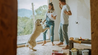 People move houses for multiple reasons like a job change, partner opportunities and so on, but do you have to move with a dog or cat or some bunnies? Some pets are unfazed by shifting from one home to another. Others, on the other hand, may find being uprooted from their accustomed surroundings and placed in a new home upsetting. (Anastasia Shuraeva) People move houses for multiple reasons like a job change, partner opportunities and so on, but do you have to move with a dog or cat or some bunnies? Some pets are unfazed by shifting from one home to another. Others, on the other hand, may find being uprooted from their accustomed surroundings and placed in a new home upsetting. (Anastasia Shuraeva)