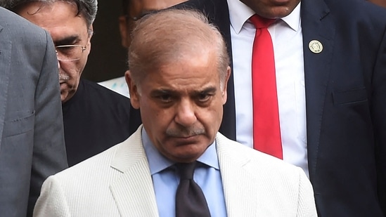 Pakistan's Prime Minister Shehbaz Sharif. (File image) Pakistan's Prime Minister Shehbaz Sharif. (File image)