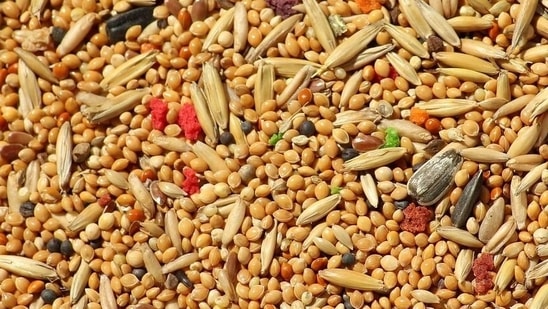 Switch to whole grains: Whole grains like whole wheat, millets and brown rice contain more nutrients than their processed white colleagues like maida. Don’t shun carbohydrates but to get more nutrients and fibre out of them, go for whole grains instead of the processed ones.(Pixabay)